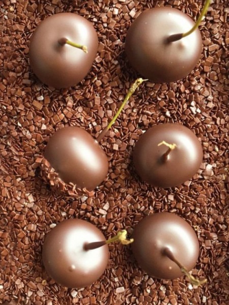 Griottes