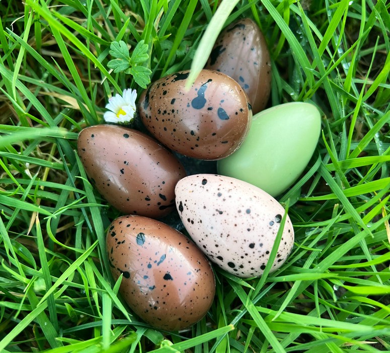 Mise en avant page d'accueil